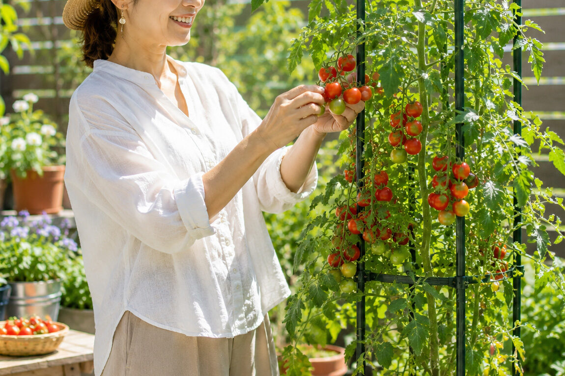 立ったままできるミニ家庭菜園